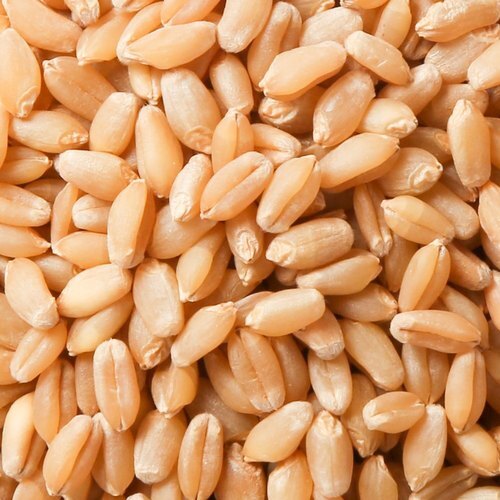 Wheat Grain Per Kg Bulk